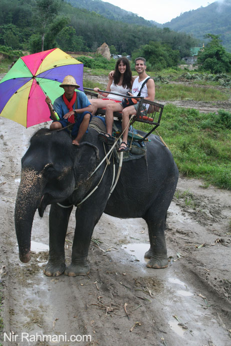Elephant tour in Phuket